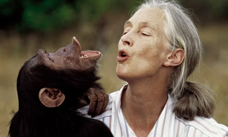 Jane Goodall