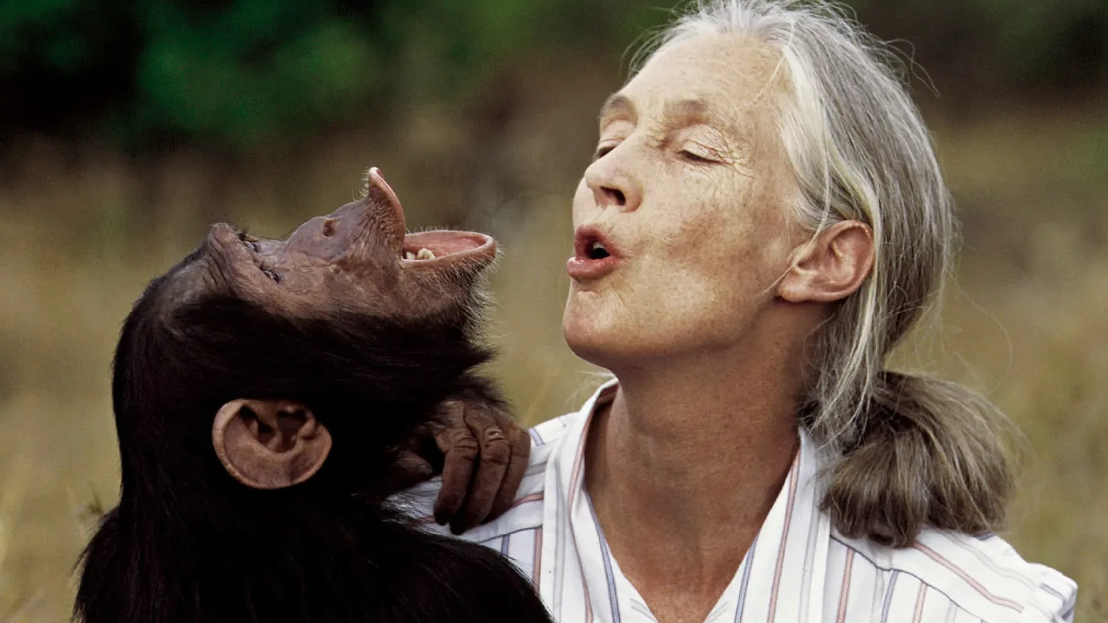 Jane Goodall