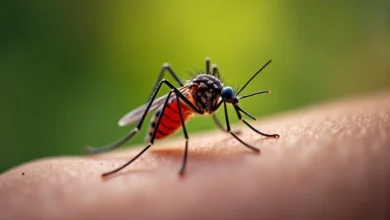 West Nile virus treatment